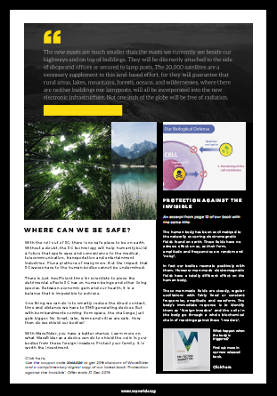 WaveRider newsletter, page 2